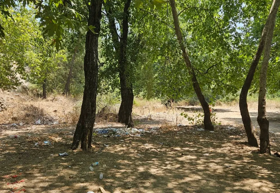 Aksu Çayı Piknik Alanı - Aksu - Antalya - Fotoğraf 7