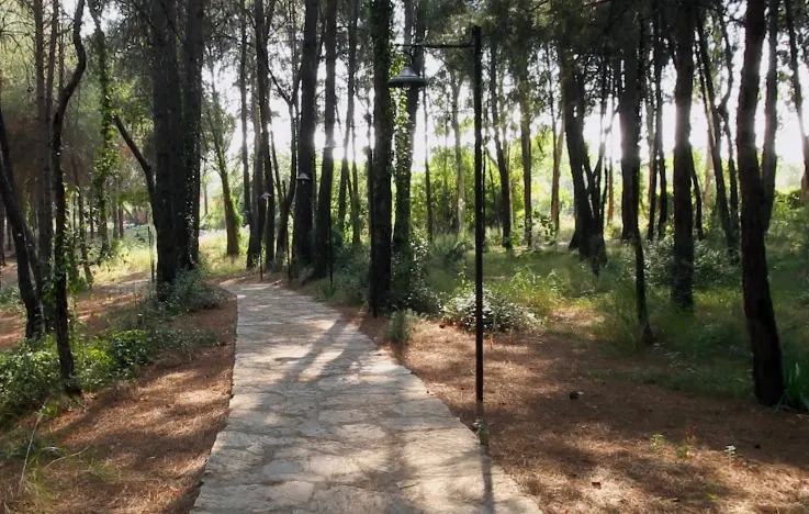 Anadolu Park Piknik Alanı