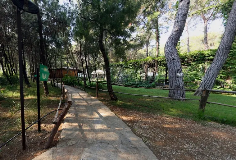 Anadolu Park Piknik Alanı - Aksu - Antalya - Fotoğraf 2