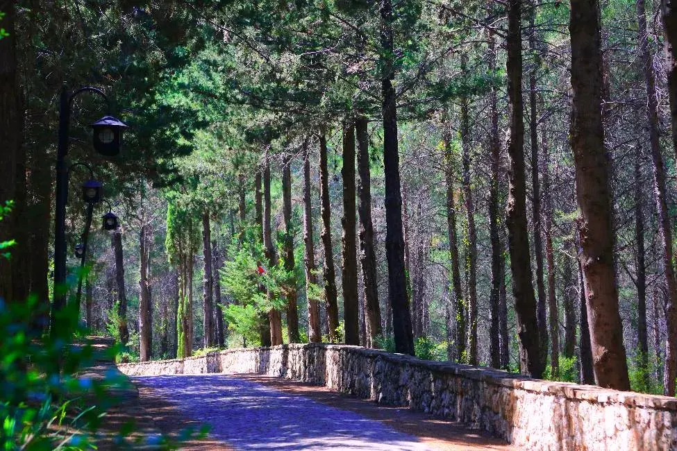 Anadolu Park Piknik Alanı - Aksu - Antalya - Fotoğraf 3