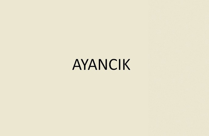 Ayancık'ta devam eden film çekimi
