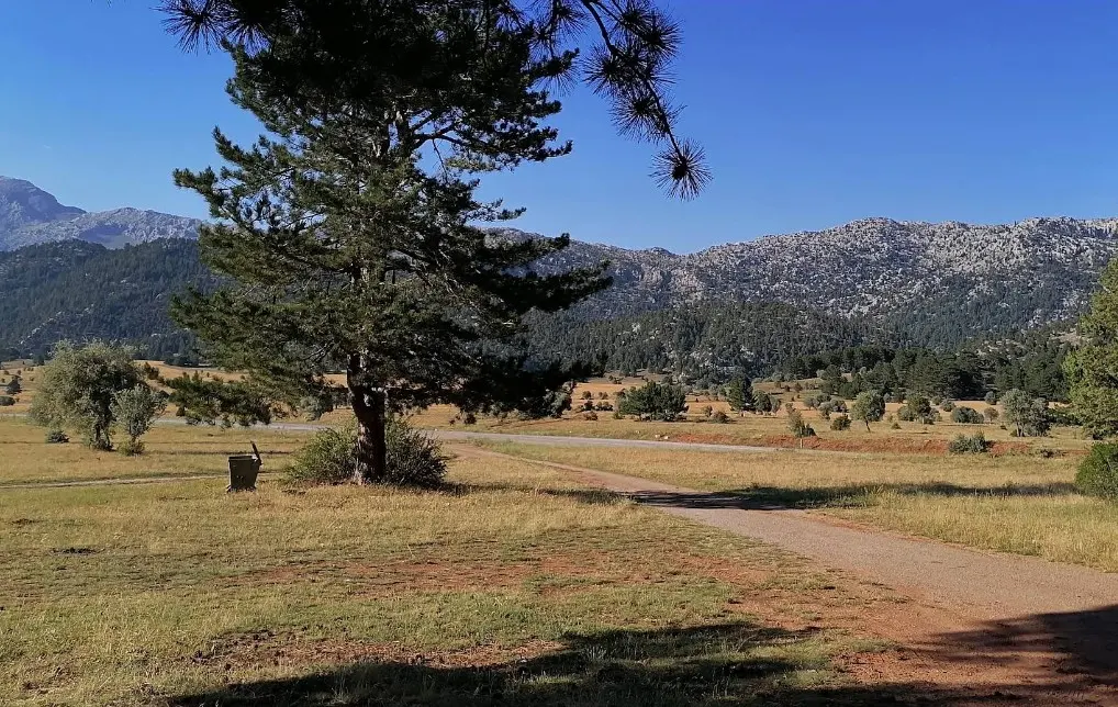 Bodamya Yaylası Piknik Alanı - Akseki - Antalya - Fotoğraf 3