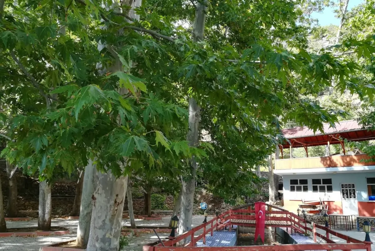 Boriçi Park - Akseki - Antalya - Fotoğraf 7