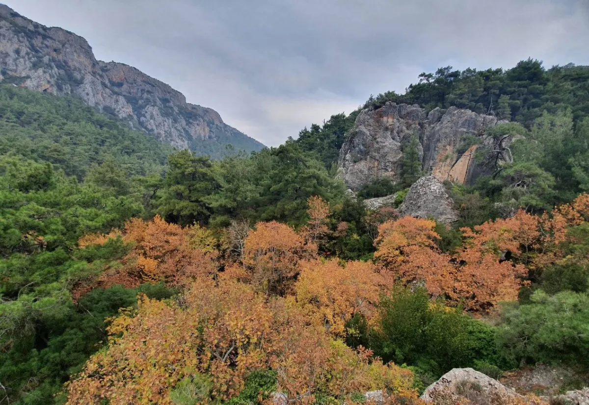 Değirmendere Şelalesi - Aksu - Antalya - Fotoğraf 3