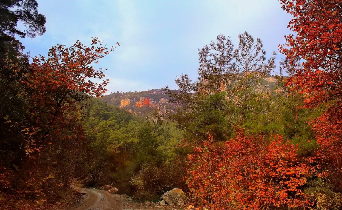 Değirmendere Şelalesi - Aksu - Antalya - Fotoğraf 4