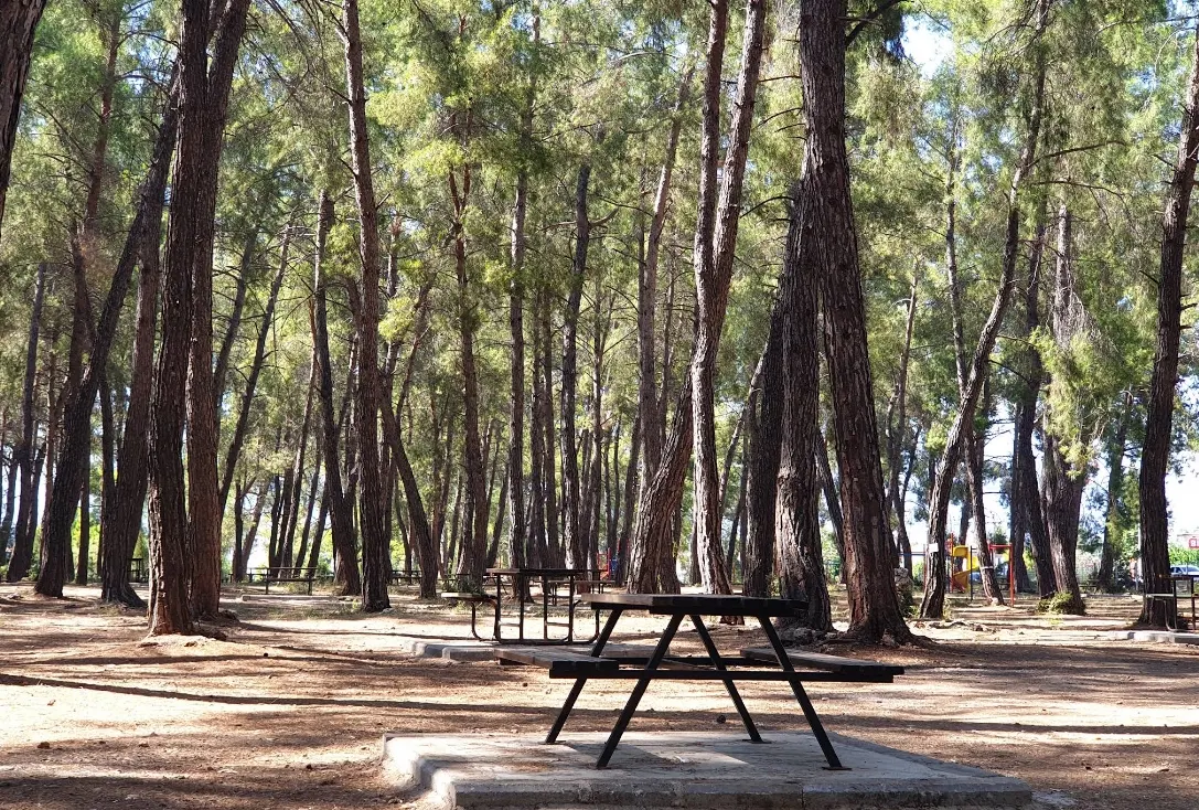 Döşemealtı Mesire Alanı - Döşemealtı - Antalya - Fotoğraf 6