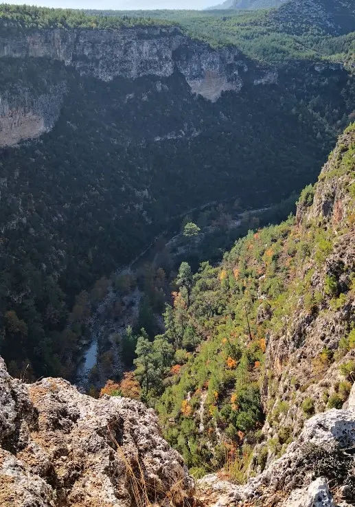 Düzler Çamı Milli Parkı - Döşemealtı - Antalya - Fotoğraf 2