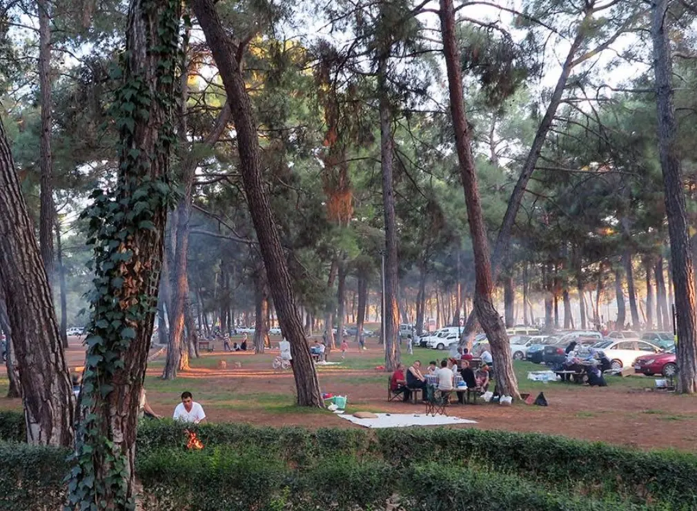 Düzler Çamı Milli Parkı - Döşemealtı - Antalya - Fotoğraf 4