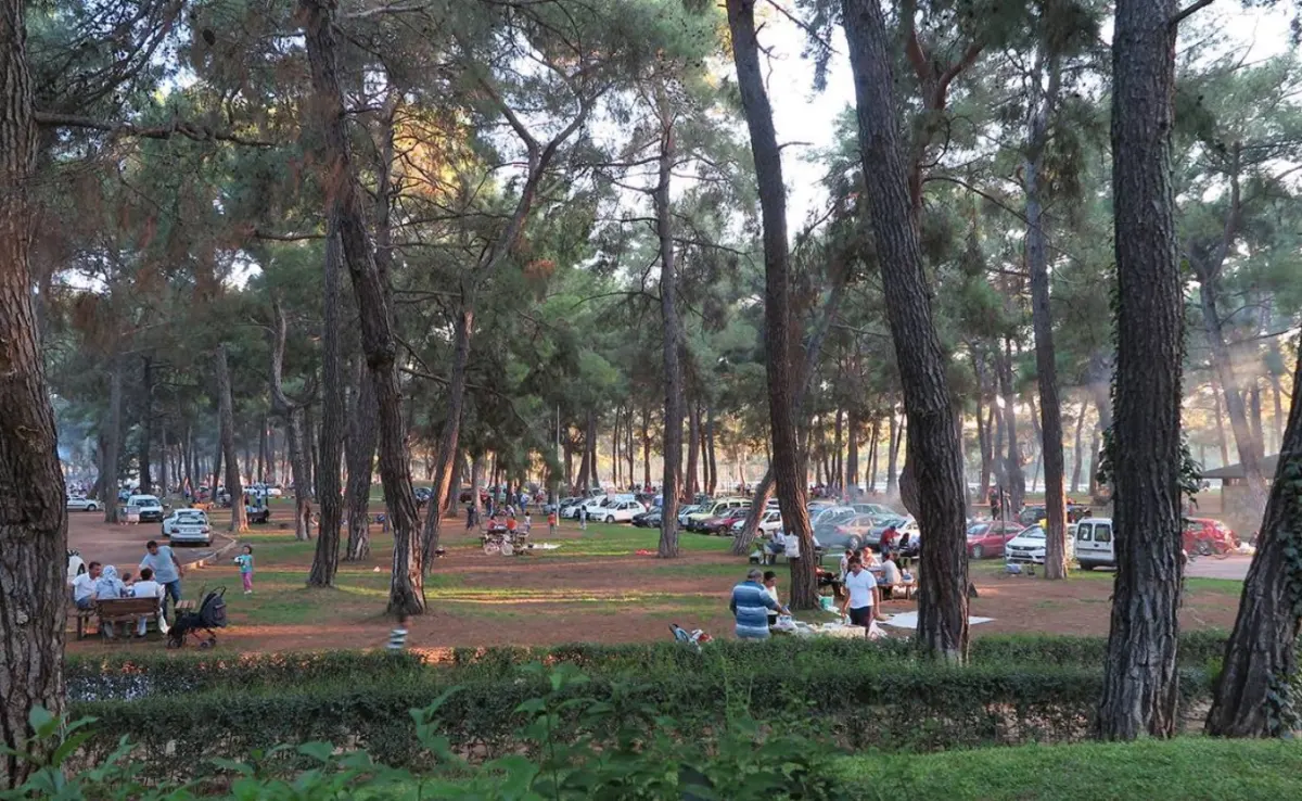 Düzler Çamı Milli Parkı - Döşemealtı - Antalya - Fotoğraf 5