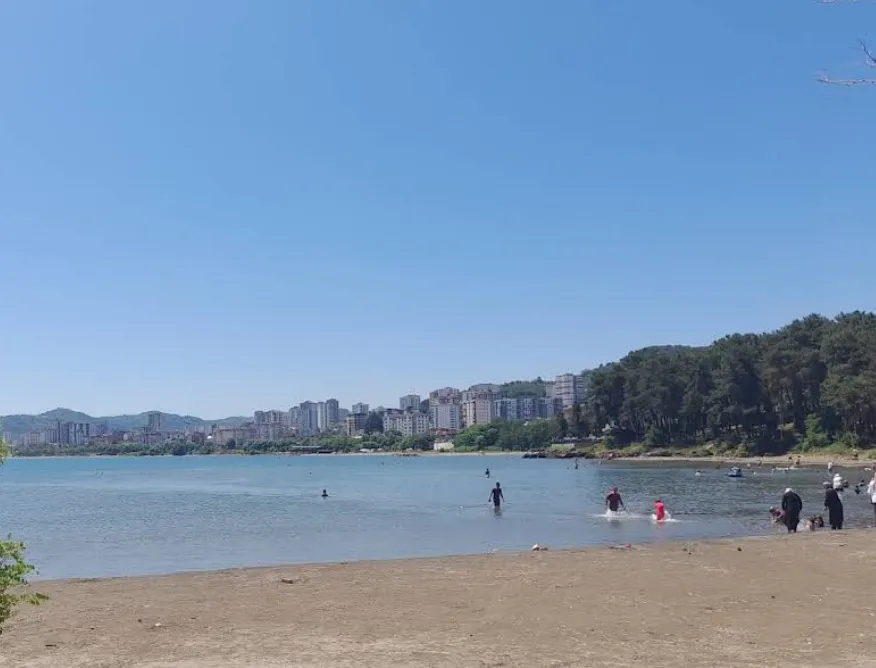 Fatsa Çamlık Plajı