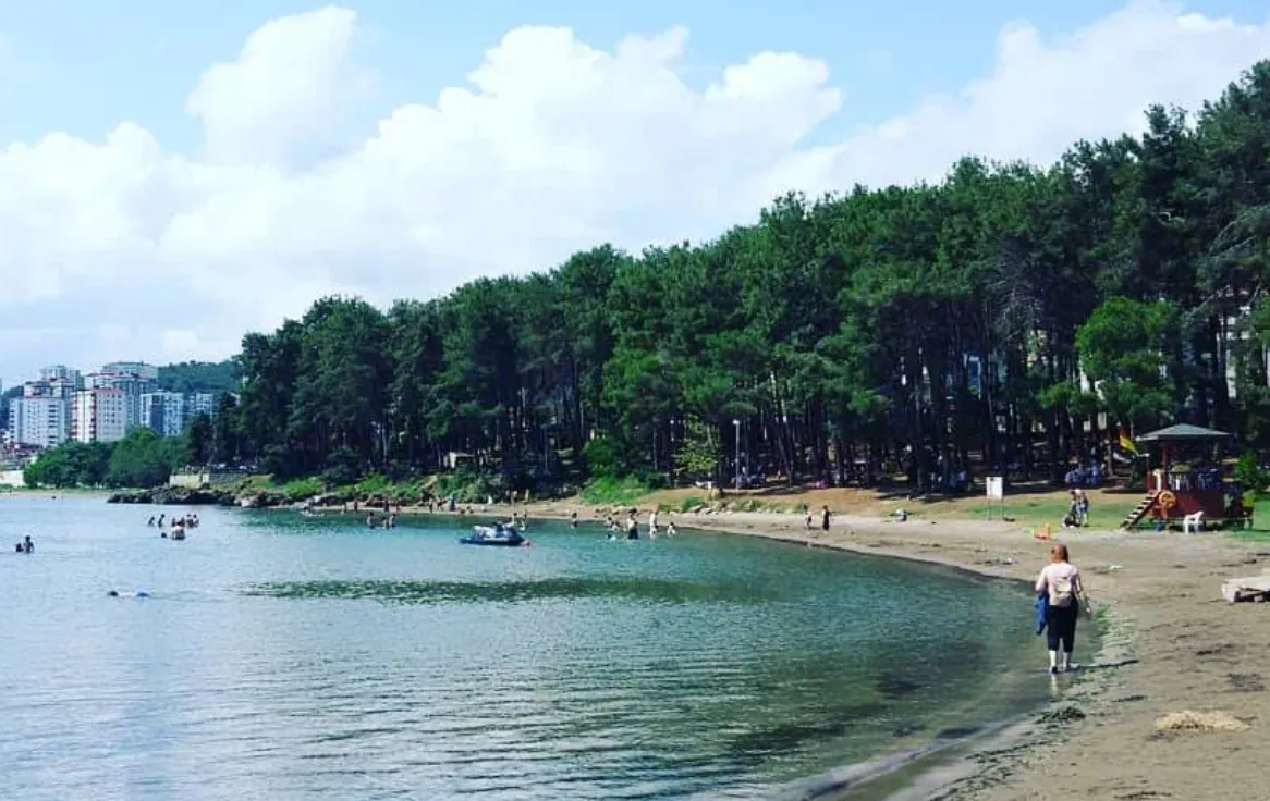 Fatsa Çamlık Plajı - Fotoğraf 3