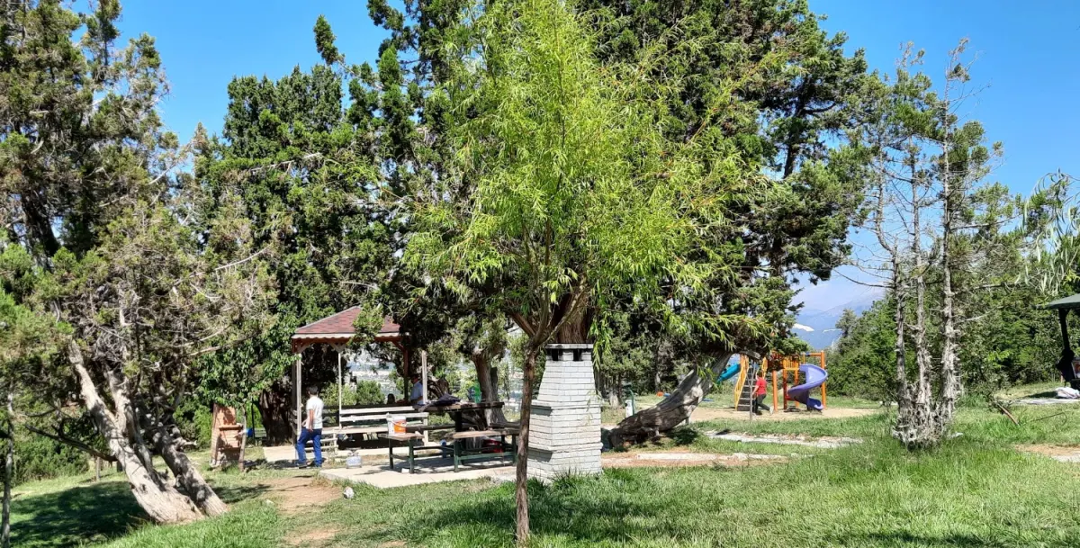 Gömbe Yaylası Piknik Alanı