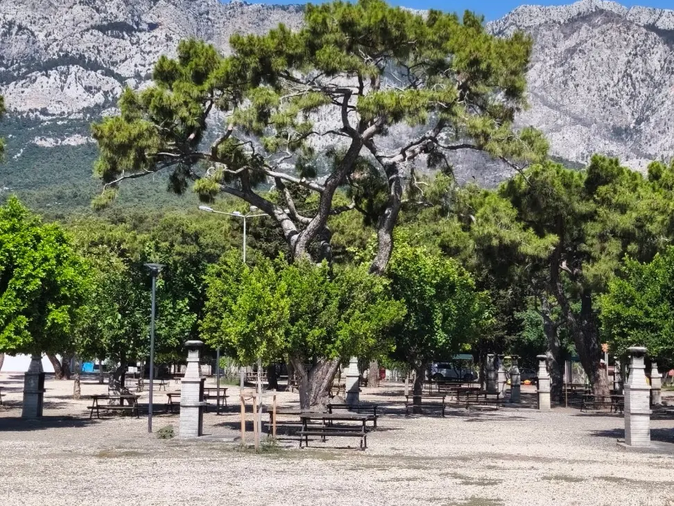 Kındılçeşme Piknik Alanı