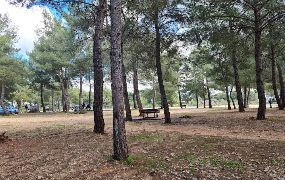 Kirişçiler Mesire Alanı - Kepez - Antalya - Fotoğraf 3