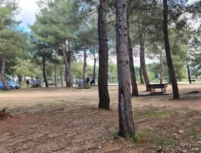 Kirişçiler Mesire Alanı - Kepez - Antalya - Fotoğraf 4
