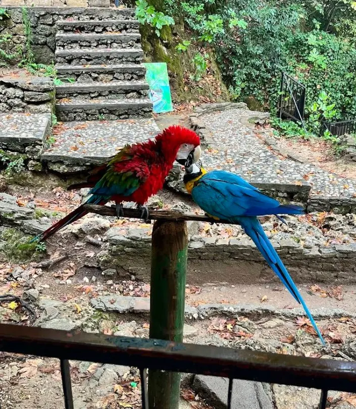 Kurşunlu Şelalesi Tabiat Parkı - Aksu - Antalya - Fotoğraf 9