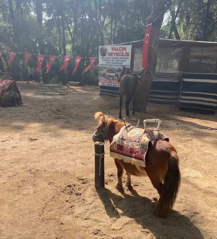 Kurşunlu Şelalesi Tabiat Parkı - Aksu - Antalya - Fotoğraf 7