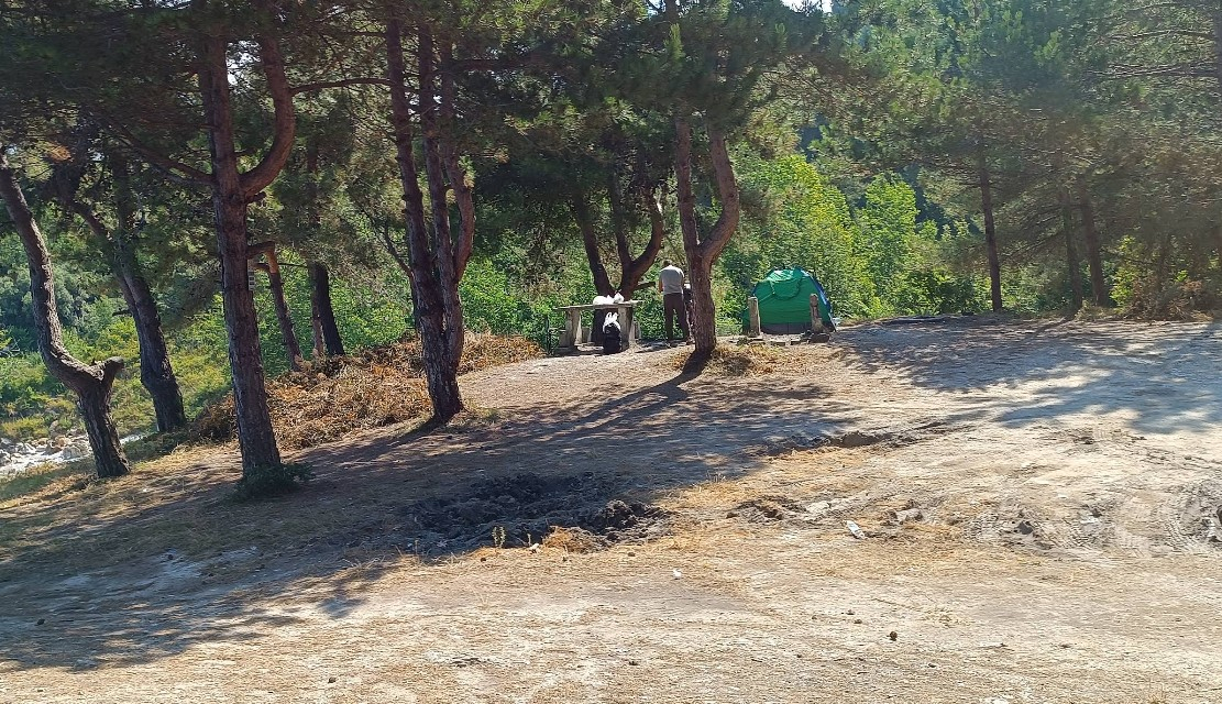 Kurucaşile Yardibi Plajı - Fotoğraf 5