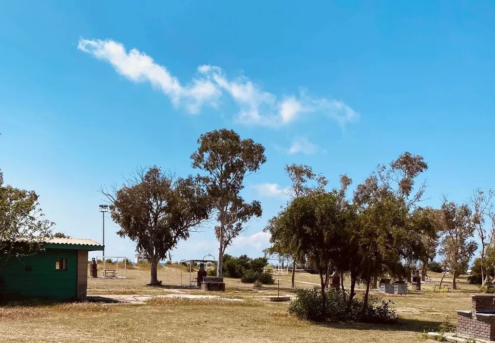 Lara Piknik Alanı - Muratpaşa - Antalya - Fotoğraf 2
