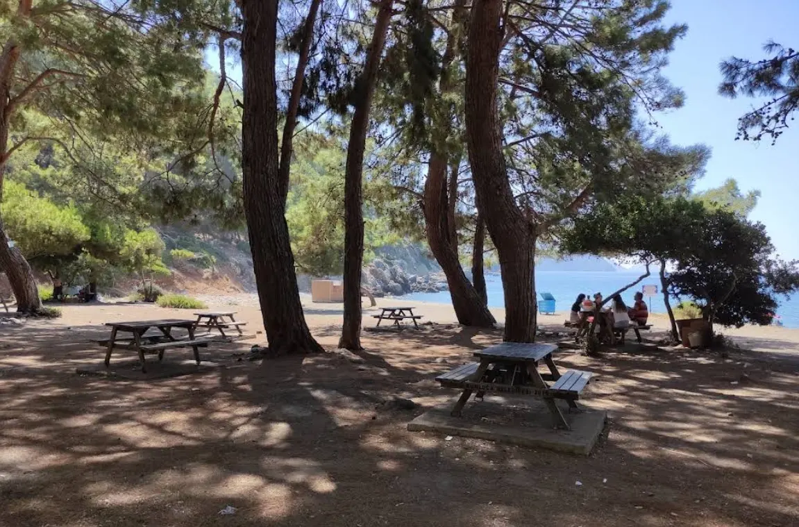Mavikent Mesire Alanı