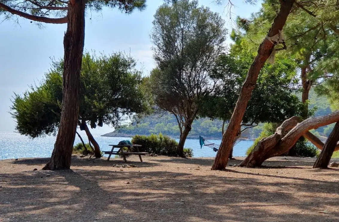 Mavikent Mesire Alanı - Kumluca - Antalya - Fotoğraf 4