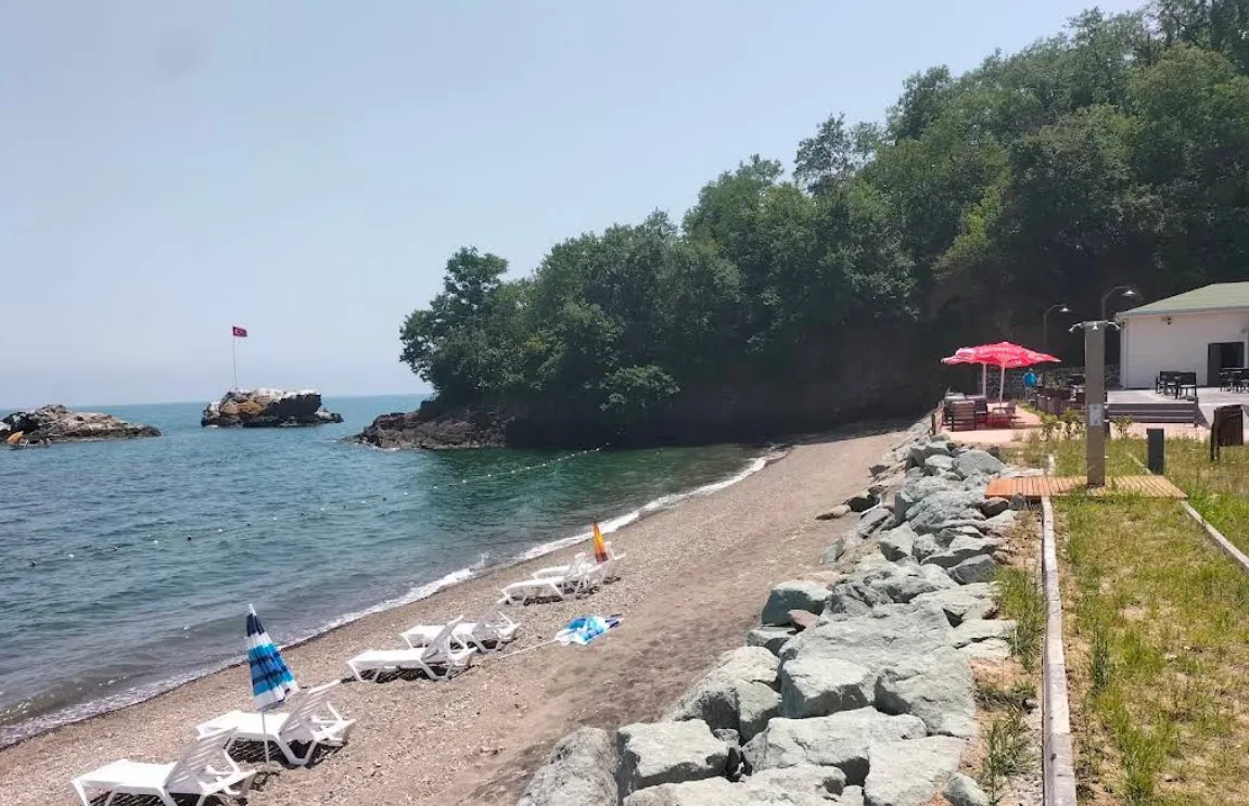Perşembe Aktaşlar Plajı - Plaj Görseli