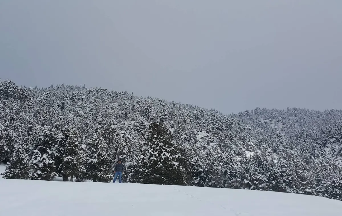 Şakiroğlu Çeşmesi - Akseki - Antalya - Fotoğraf 4