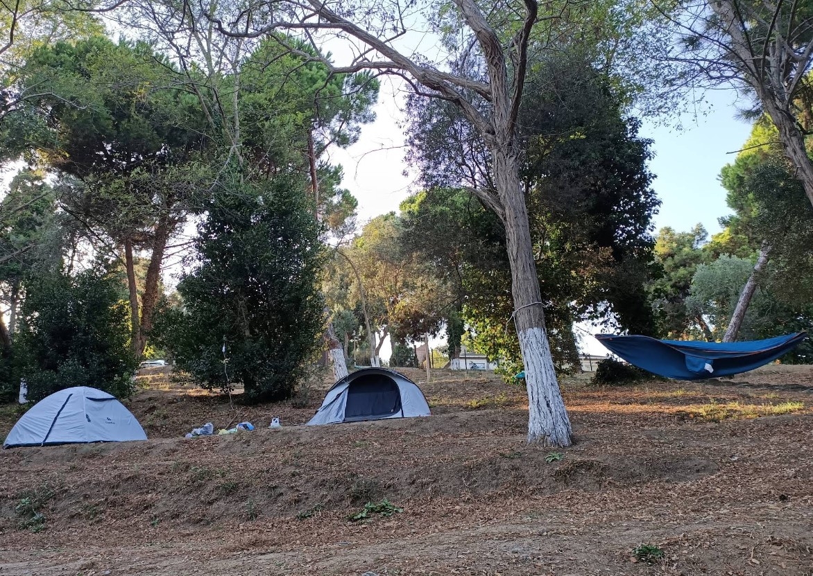 Sinop Orman İşletme Kampı Plajı - Merkez - Sinop - Fotoğraf 3