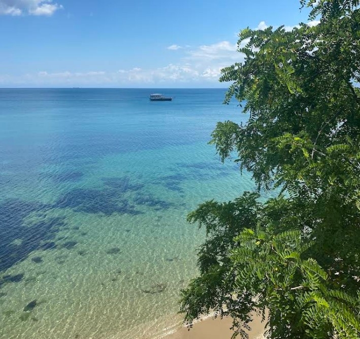 Sinop Orman İşletme Kampı Plajı - Merkez - Sinop - Fotoğraf 4