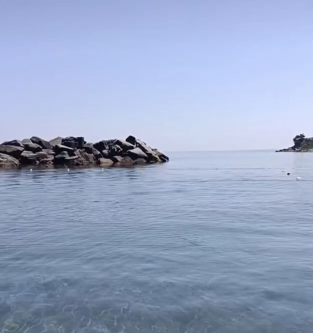 Kullanıcı Fotoğrafı